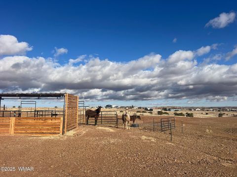 Tiny photo for 660 Foothills Boulevard Boulevard, Taylor, AZ 85939 (MLS # 257713)