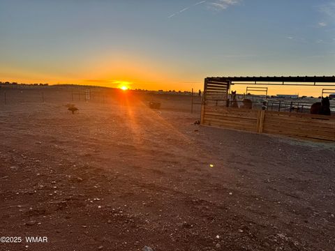 Tiny photo for 660 Foothills Boulevard Boulevard, Taylor, AZ 85939 (MLS # 257713)