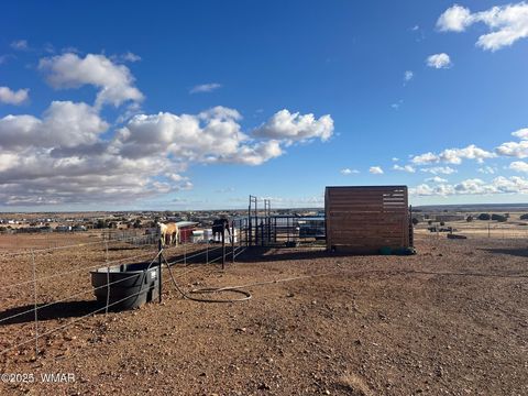 Tiny photo for 660 Foothills Boulevard Boulevard, Taylor, AZ 85939 (MLS # 257713)