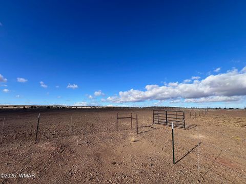 Tiny photo for 660 Foothills Boulevard Boulevard, Taylor, AZ 85939 (MLS # 257713)