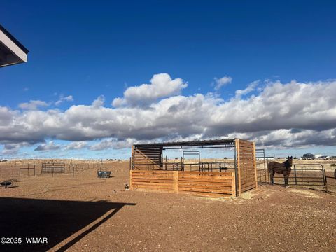 Tiny photo for 660 Foothills Boulevard Boulevard, Taylor, AZ 85939 (MLS # 257713)