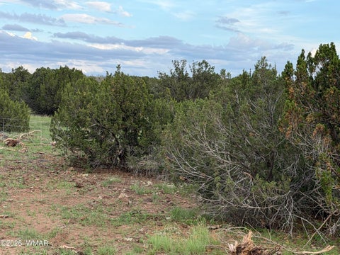 Tiny photo for 2141 Mazatzal Street, Show Low, AZ 85901 (MLS # 262730)