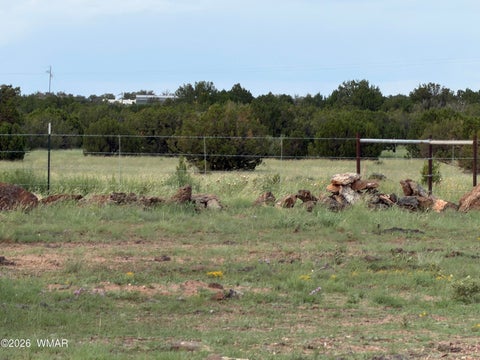 Tiny photo for 2141 Mazatzal Street, Show Low, AZ 85901 (MLS # 262730)