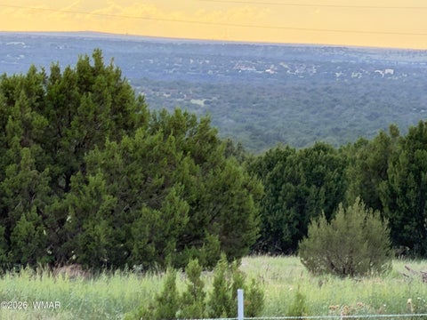 Tiny photo for 2141 Mazatzal Street, Show Low, AZ 85901 (MLS # 262730)
