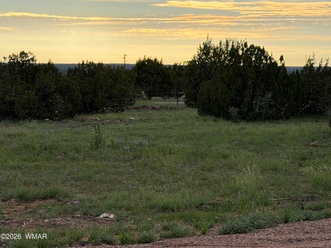 Tiny photo for 2141 Mazatzal Street, Show Low, AZ 85901 (MLS # 262730)