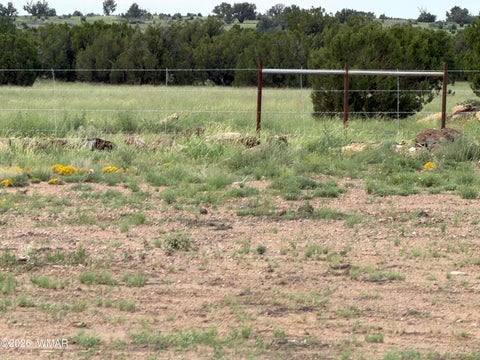 Tiny photo for 2141 Mazatzal Street, Show Low, AZ 85901 (MLS # 262730)