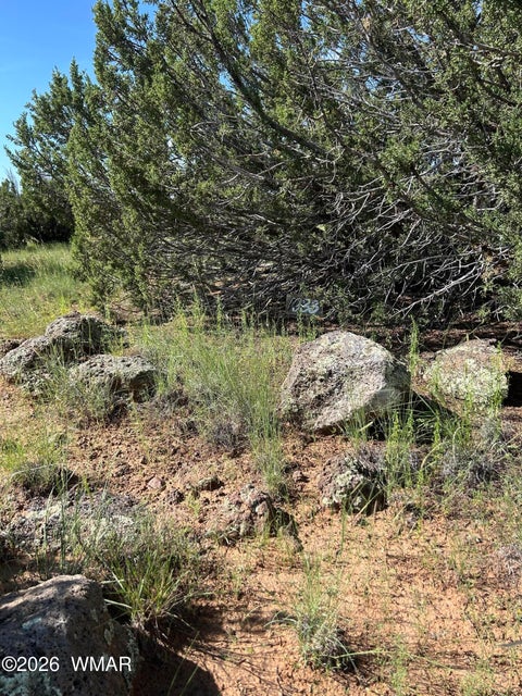 Tiny photo for Lot 1933 Mills Ln, Concho, AZ 85924 (MLS # 263028)