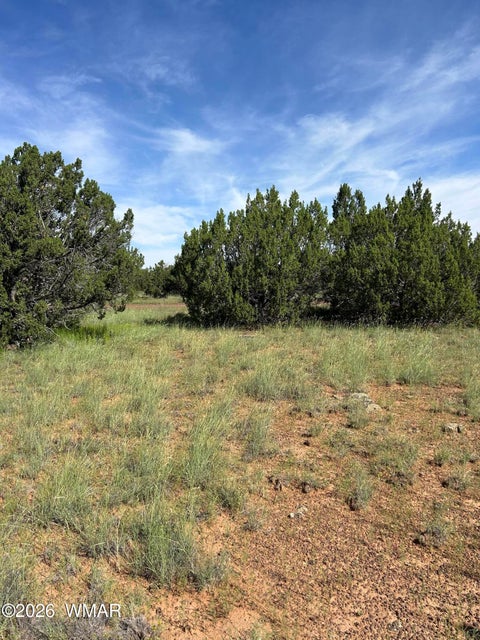 Tiny photo for Lot 1933 Mills Ln, Concho, AZ 85924 (MLS # 263028)