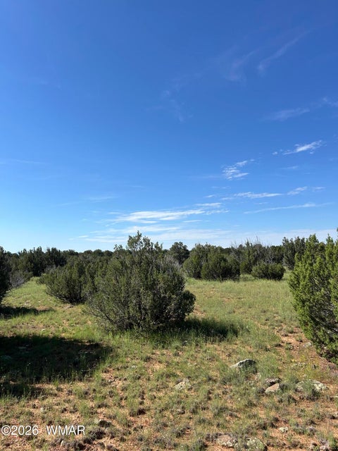 Tiny photo for Lot 1933 Mills Ln, Concho, AZ 85924 (MLS # 263028)