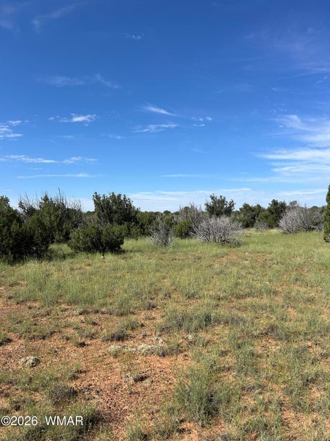 Photo of Lot 1933 Mills Ln, Concho, AZ 85924 (MLS # 263028)