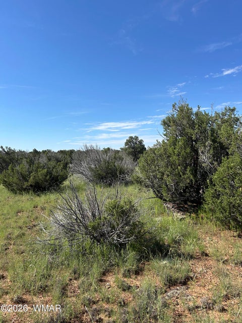 Tiny photo for Lot 1933 Mills Ln, Concho, AZ 85924 (MLS # 263028)