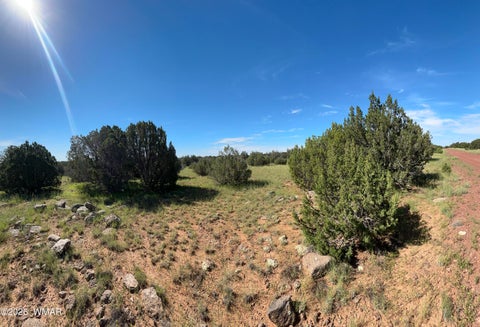 Tiny photo for Lot 1933 Mills Ln, Concho, AZ 85924 (MLS # 263028)