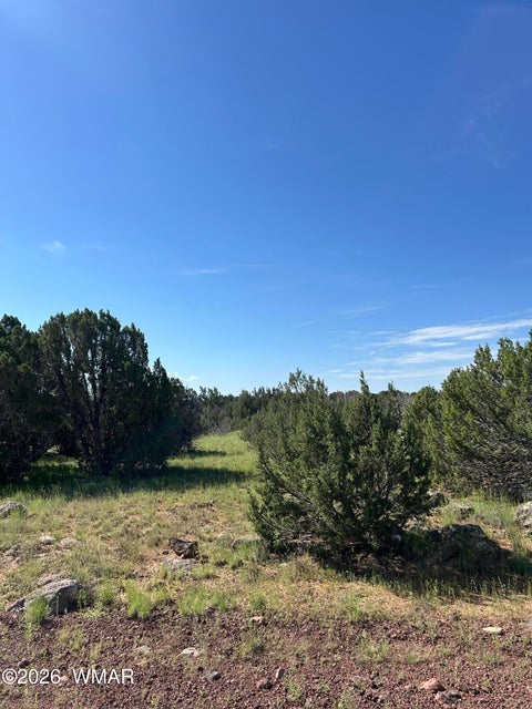 Tiny photo for Lot 1933 Mills Ln, Concho, AZ 85924 (MLS # 263028)