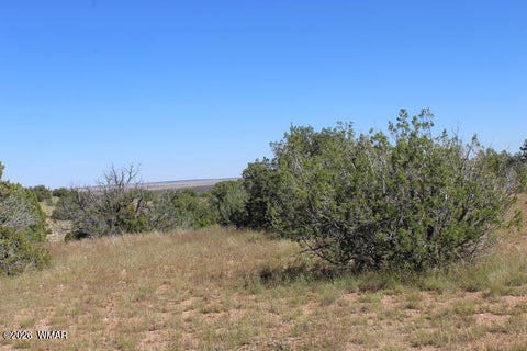 Tiny photo for Sec 11 T14N, R16E, Nw4 Se4 Ne4, Heber, AZ 85928 (MLS # 263522)