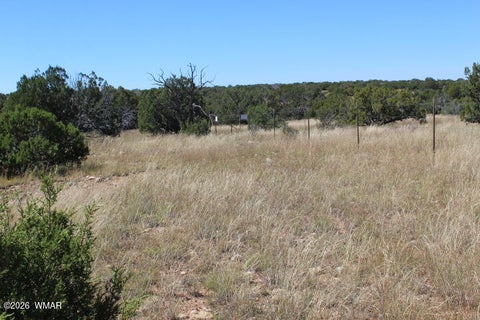 Tiny photo for Sec 11 T14N, R16E, Nw4 Se4 Ne4, Heber, AZ 85928 (MLS # 263522)