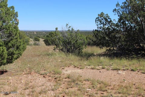 Tiny photo for Sec 11 T14N, R16E, Nw4 Se4 Ne4, Heber, AZ 85928 (MLS # 263522)