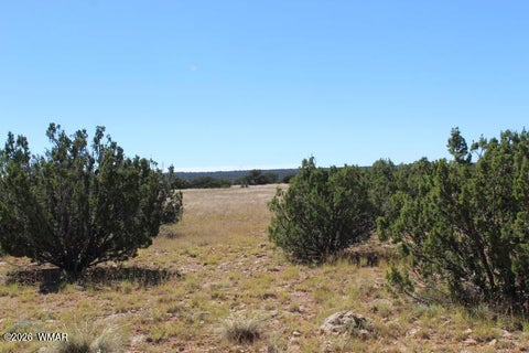 Tiny photo for Sec 11 T14N, R16E, Nw4 Se4 Ne4, Heber, AZ 85928 (MLS # 263522)