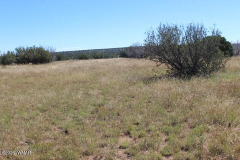 Tiny photo for Sec 11 T14N, R16E, Nw4 Se4 Ne4, Heber, AZ 85928 (MLS # 263522)
