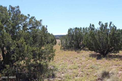 Tiny photo for Sec 11 T14N, R16E, Nw4 Se4 Ne4, Heber, AZ 85928 (MLS # 263522)