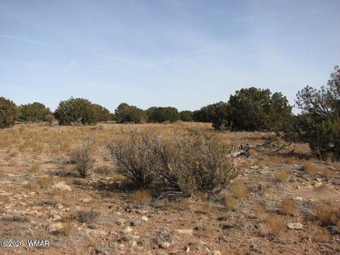 Tiny photo for Sec 11 T14N, R16E, Nw4 Se4 Ne4, Heber, AZ 85928 (MLS # 263522)