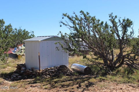 Tiny photo for Sec 11 T14N, R16E, Nw4 Se4 Ne4, Heber, AZ 85928 (MLS # 263522)
