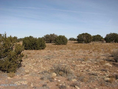 Photo of Sec 11 T14N, R16E, Nw4 Se4 Ne4, Heber, AZ 85928 (MLS # 263522)