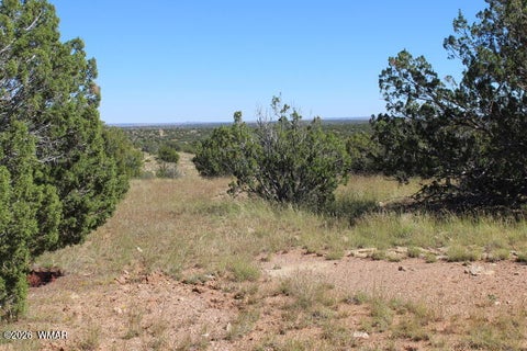 Tiny photo for Sec 11 T14N, R16E, Nw4 Se4 Ne4, Heber, AZ 85928 (MLS # 263522)