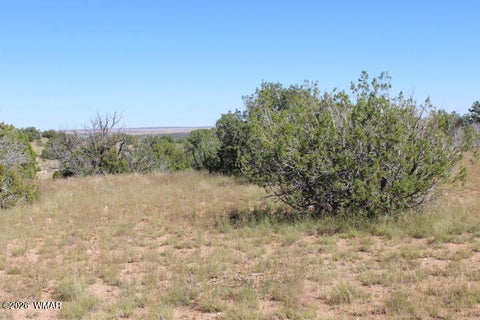 Tiny photo for Sec 11 T14N, R16E, Nw4 Se4 Ne4, Heber, AZ 85928 (MLS # 263522)
