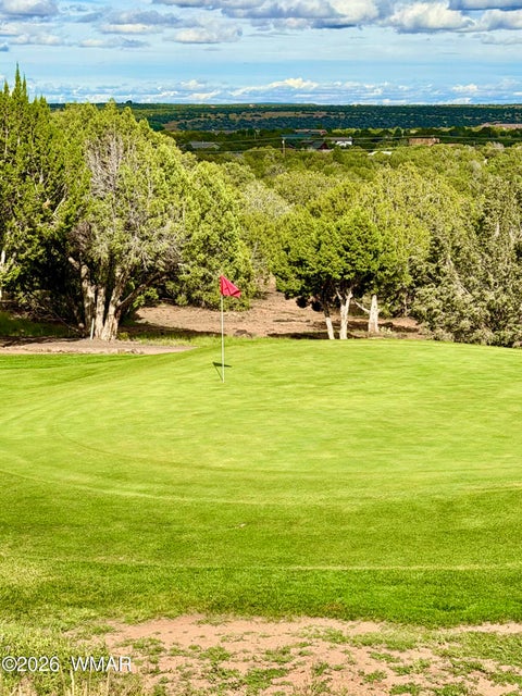 Tiny photo for 8226 Lake Front Drive #335, Show Low, AZ 85901 (MLS # 263264)