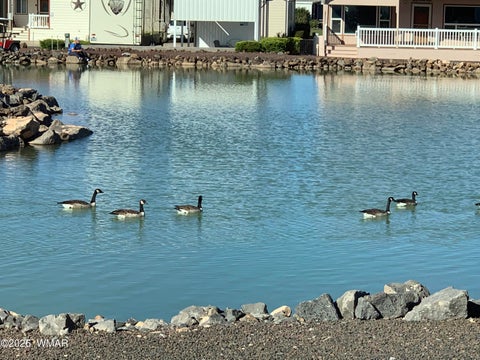 Tiny photo for 8226 Lake Front Drive #335, Show Low, AZ 85901 (MLS # 263264)