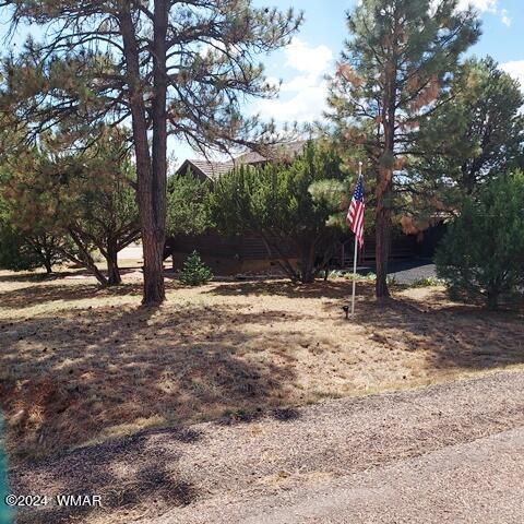 Tiny photo for 2740 Kitty Hawk Lane Ln, Overgaard, AZ 85933 (MLS # 253198)