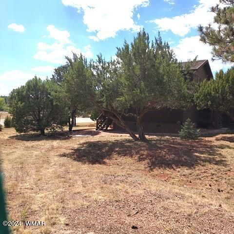 Tiny photo for 2740 Kitty Hawk Lane Ln, Overgaard, AZ 85933 (MLS # 253198)