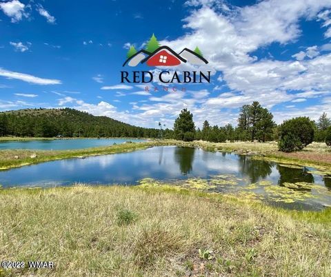 Tiny photo for Lot 29 Red Cabin Ranch, Vernon, AZ 85940 (MLS # 257408)
