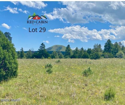 Photo of Lot 29 Red Cabin Ranch, Vernon, AZ 85940 (MLS # 257408)