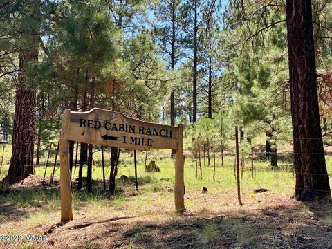 Tiny photo for Lot 29 Red Cabin Ranch, Vernon, AZ 85940 (MLS # 257408)