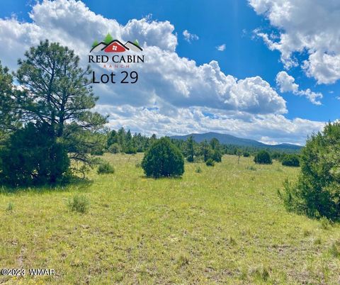 Tiny photo for Lot 29 Red Cabin Ranch, Vernon, AZ 85940 (MLS # 257408)