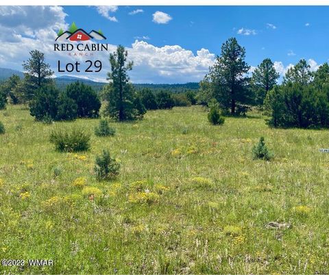 Tiny photo for Lot 29 Red Cabin Ranch, Vernon, AZ 85940 (MLS # 257408)