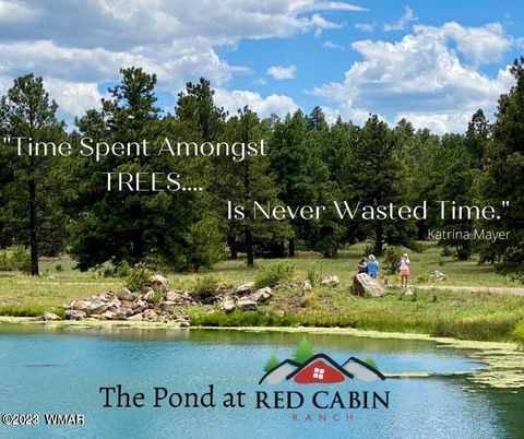 Tiny photo for Lot 29 Red Cabin Ranch, Vernon, AZ 85940 (MLS # 257408)