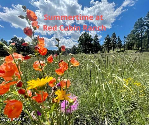 Tiny photo for Lot 29 Red Cabin Ranch, Vernon, AZ 85940 (MLS # 257408)