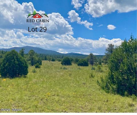 Tiny photo for Lot 29 Red Cabin Ranch, Vernon, AZ 85940 (MLS # 257408)