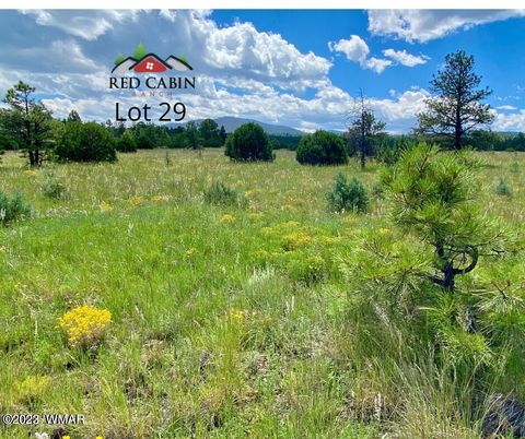 Tiny photo for Lot 29 Red Cabin Ranch, Vernon, AZ 85940 (MLS # 257408)