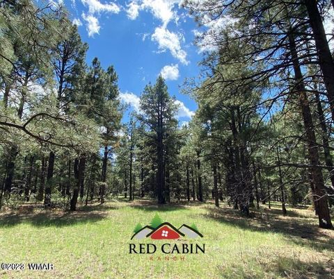 Tiny photo for Lot 29 Red Cabin Ranch, Vernon, AZ 85940 (MLS # 257408)