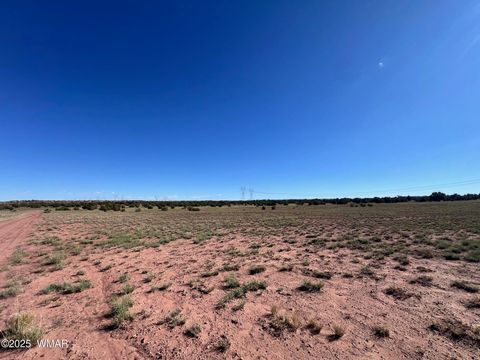 Tiny photo for 005 N9119, Concho, AZ 85924 (MLS # 258320)