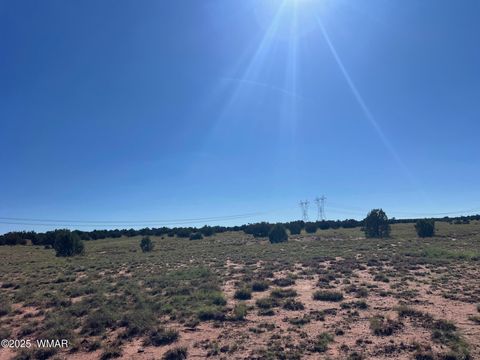 Tiny photo for 005 N9119, Concho, AZ 85924 (MLS # 258320)