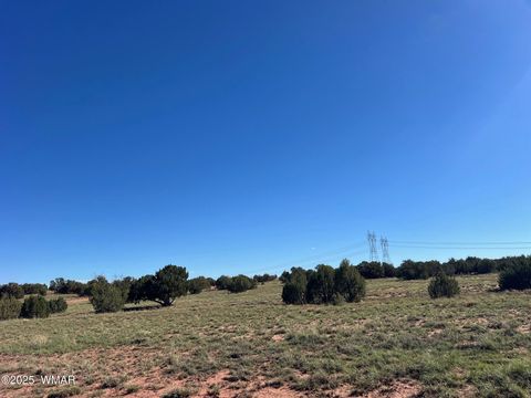 Tiny photo for 005 N9119, Concho, AZ 85924 (MLS # 258320)
