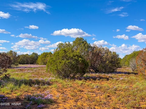 Tiny photo for 8026 Colt Ln. Lot 4 LN, Show Low, AZ 85901 (MLS # 263173)