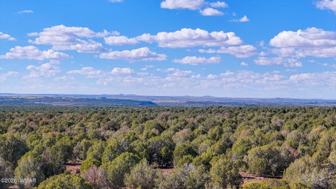 Tiny photo for 8026 Colt Ln. Lot 4 LN, Show Low, AZ 85901 (MLS # 263173)