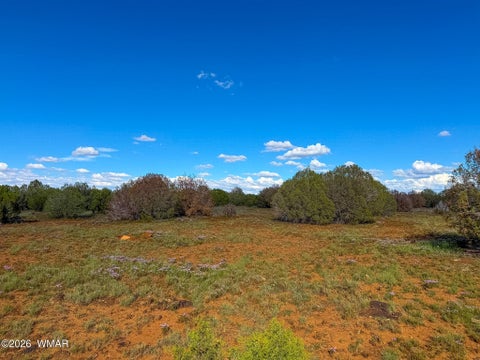 Tiny photo for 8026 Colt Ln. Lot 4 LN, Show Low, AZ 85901 (MLS # 263173)