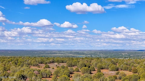 Tiny photo for 8026 Colt Ln. Lot 4 LN, Show Low, AZ 85901 (MLS # 263173)