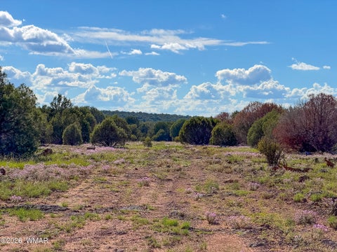 Tiny photo for 8026 Colt Ln. Lot 4 LN, Show Low, AZ 85901 (MLS # 263173)